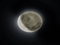 627514000_1.jpg
