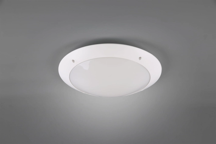 R60502031_1.jpg