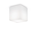 213194.png