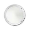 096667.png