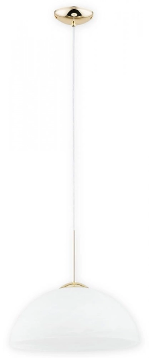 O3135 W1 ZL.jpg