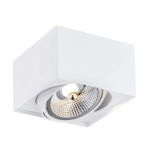 Biała lampa sufitowa punktowa regulowana 15x15cm Argon 4753 Rodos ES111