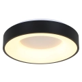 2563ZW_5.jpg
