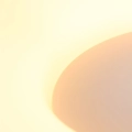 2563ZW_7.jpg