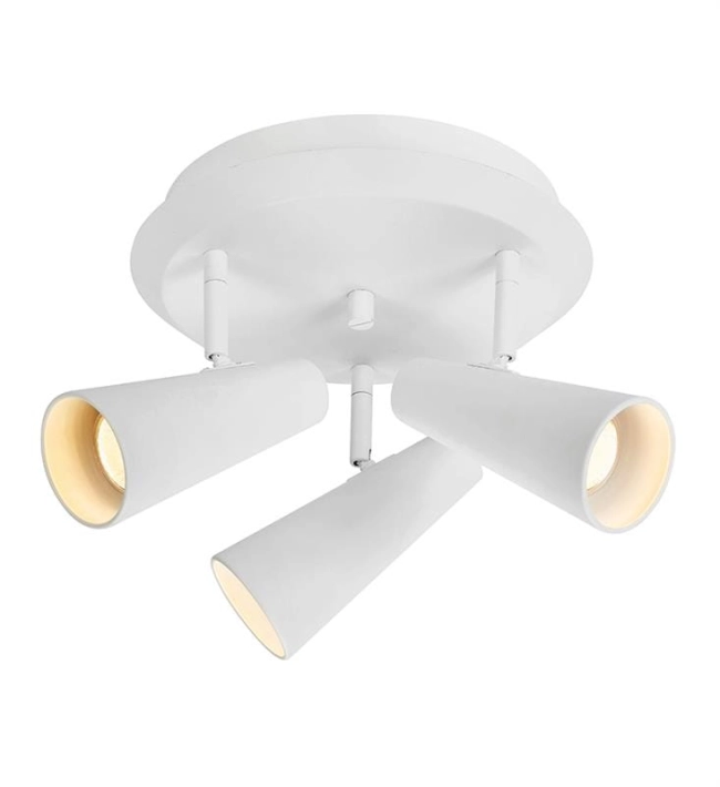 1c96036c21b365f2d19a8d3a33d503d5