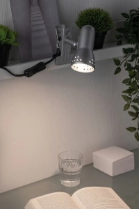 Lampa z klipsem GRYPS E14 max.40W 230V żelazo szczotkowane Paulmann PL99825