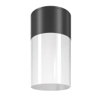 Zewnętrzna lampa sufitowa Maytoni O418CL-01B Willis E27 IP54 14cm x 8cm czarny