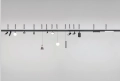 Max-Fliz-Magnetic-2.png
