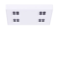 szynyakcesoriaMLINEnatynkipodtynki-7.png