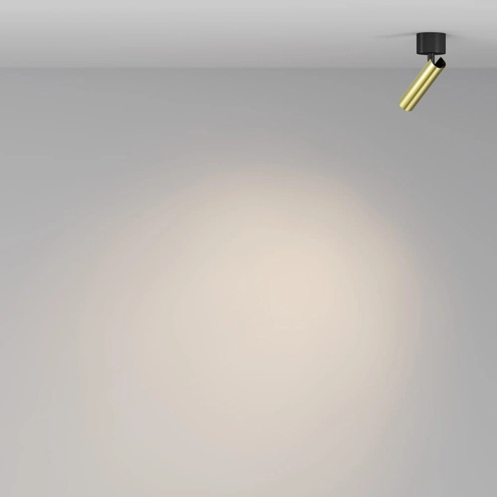 07c621533603e14b03d5b6741db37022