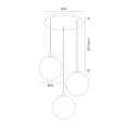 PALOMA_6306_6309_6311_6312.png