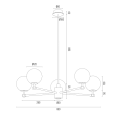 PALOMA_2184_2186.png
