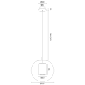 HAMPTON_8626.png