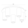 HAMPTON_2178.png