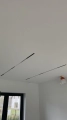 48559-1.jpeg