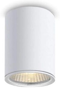 Biała lampa sufitowa tuba walec Elkim Lighting 818302102 Leja LED 12W 3000K 38stopni 10,2cm x 14cm IP65