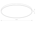 10981-2.jpg