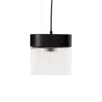 Czarna lampa wisząca z szklanym ryflowanym kloszem Ummo FLA132P0 Flumina A E14