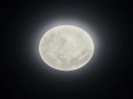 627514000.jpg