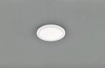 Plafon lampa sufitowa okrągła płaska RL R62921501 Camillus LED 15W 3000K 26cm