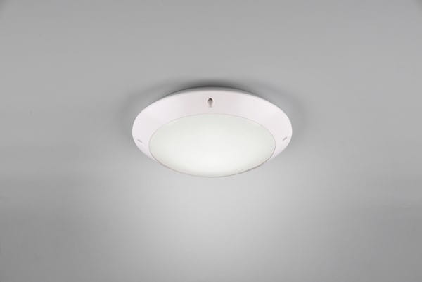 R60501031.jpg