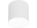 Lampa sufitowa punktowa spot bez regulacji Nowodvorski 6525 Point Plexi M E27 13cm x 12,7cm biały
