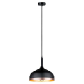 Lampy wiszące Paulmann